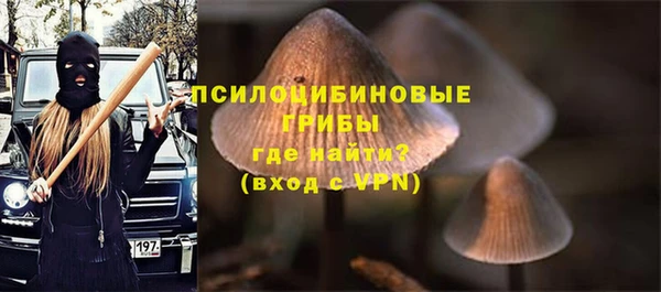 мескалин Алексин