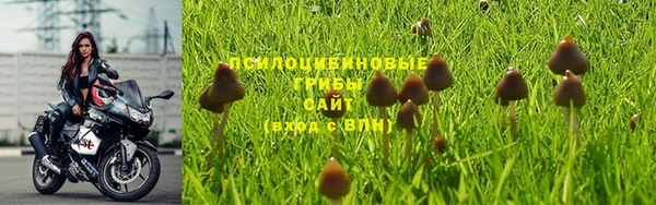 ешки Алзамай