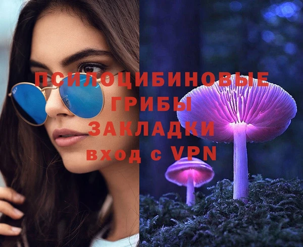 ешки Алзамай
